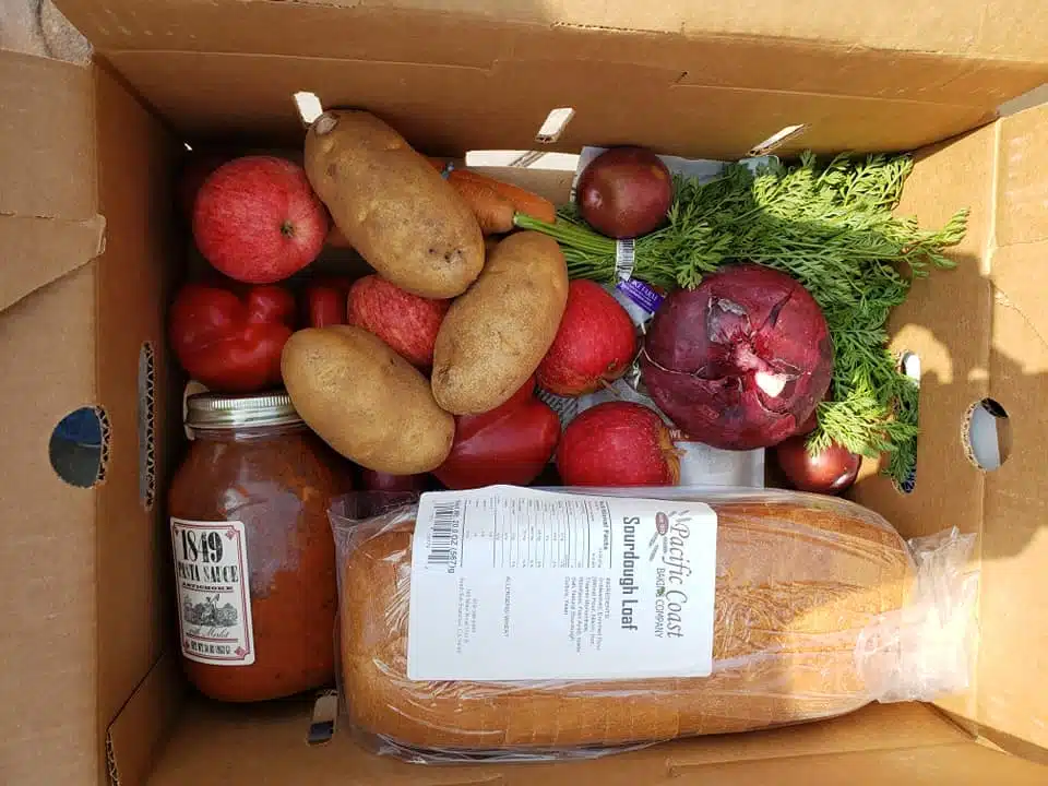 Una caja llena de comida